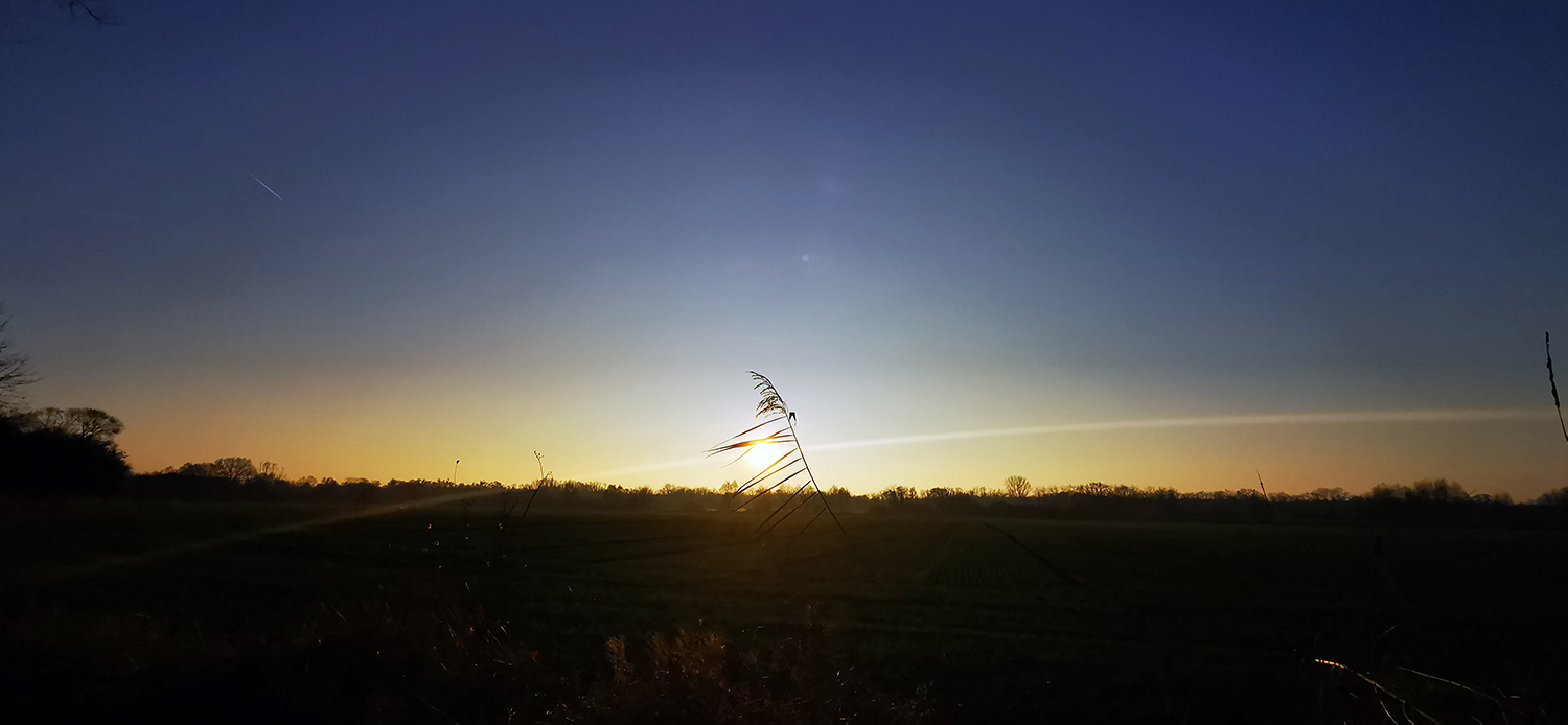 Photo 07