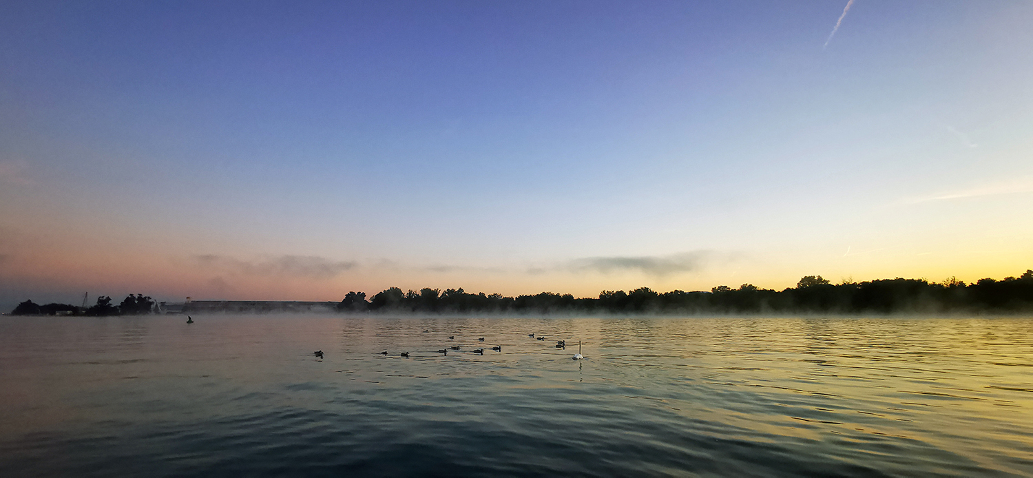 Photo 04