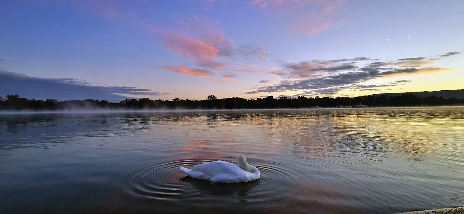 Photo 09