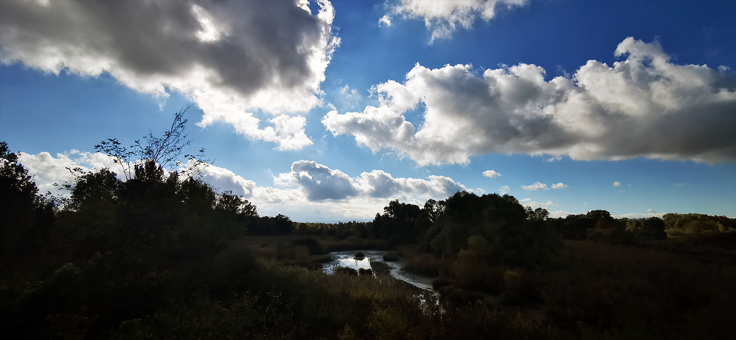 Photo 03