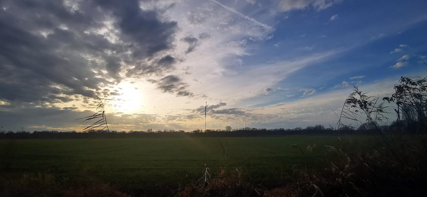 Photo 07