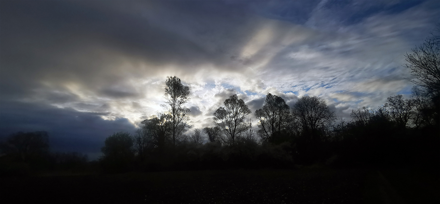 Photo 08