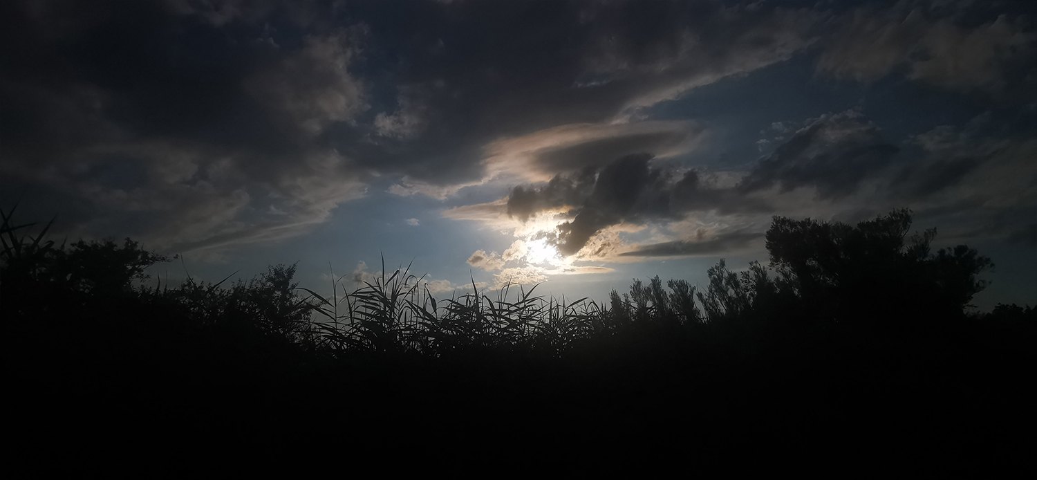 Photo 03