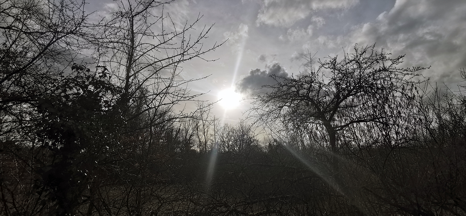 Photo 36