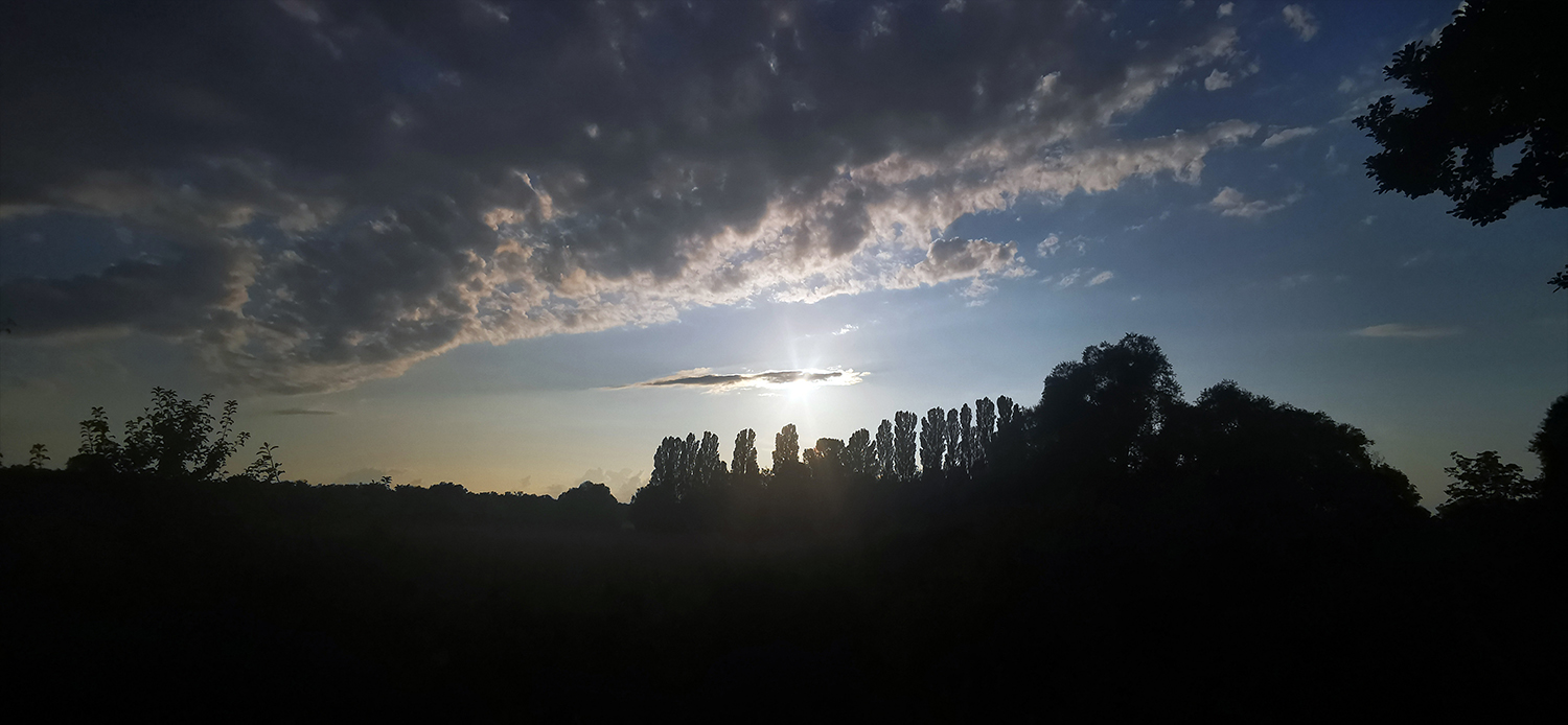 Photo 04