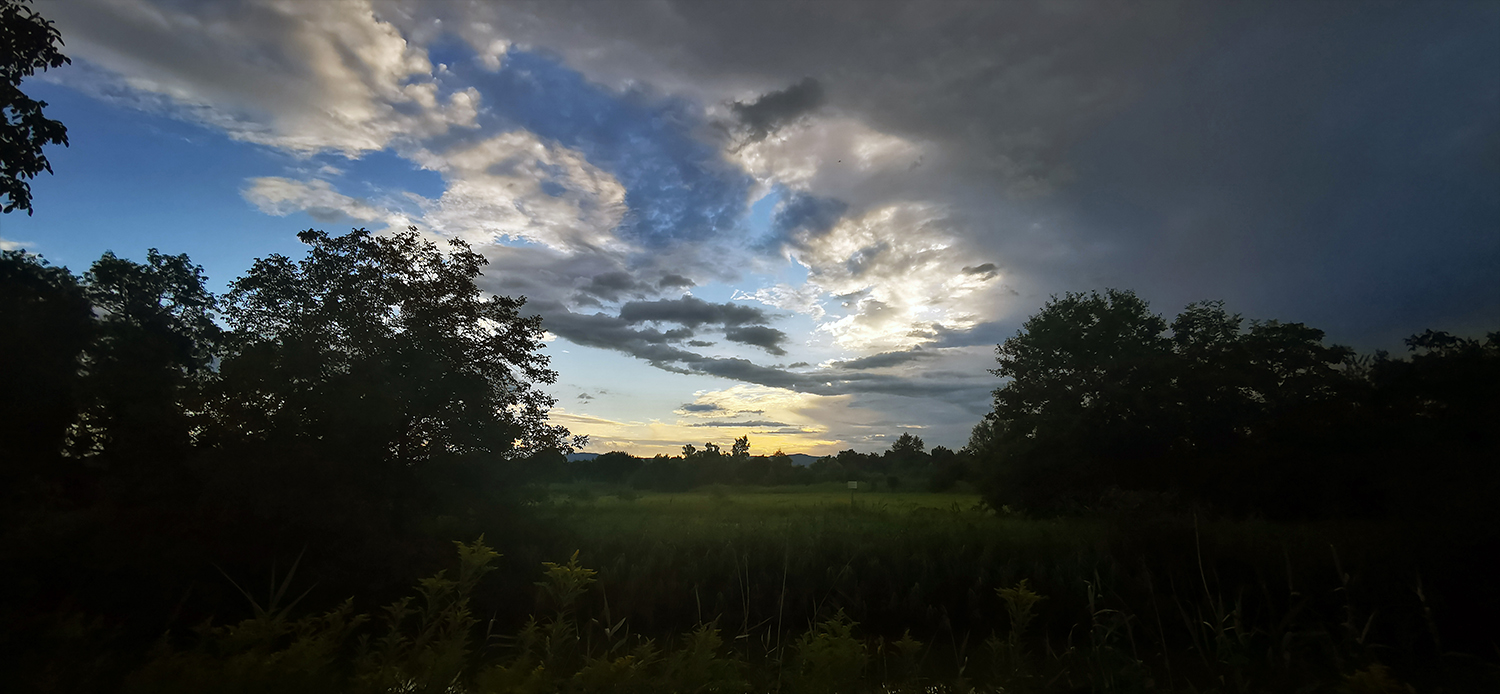 Photo 06