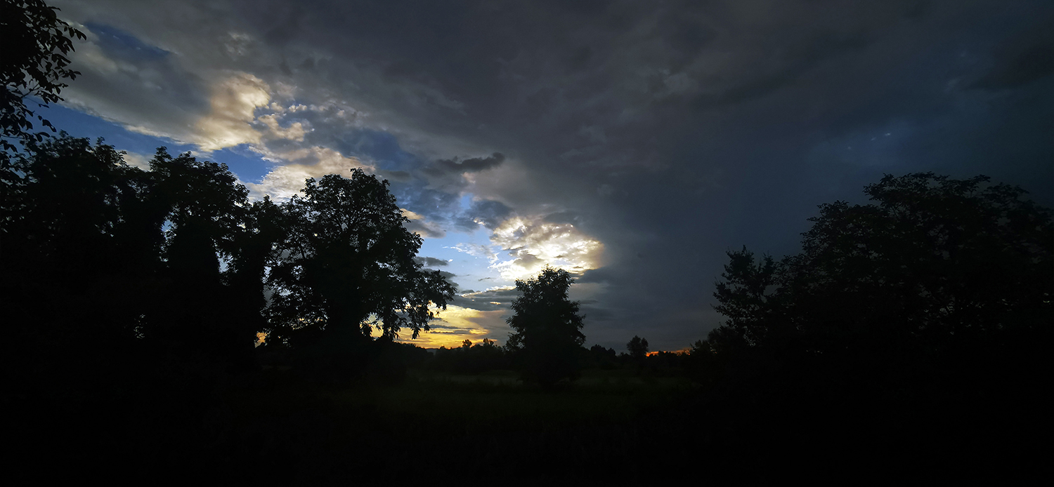Photo 07