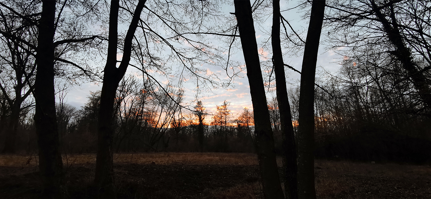 Photo 04