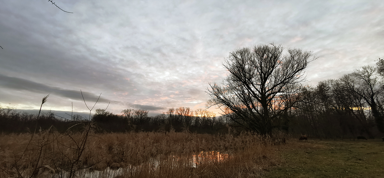 Photo 05