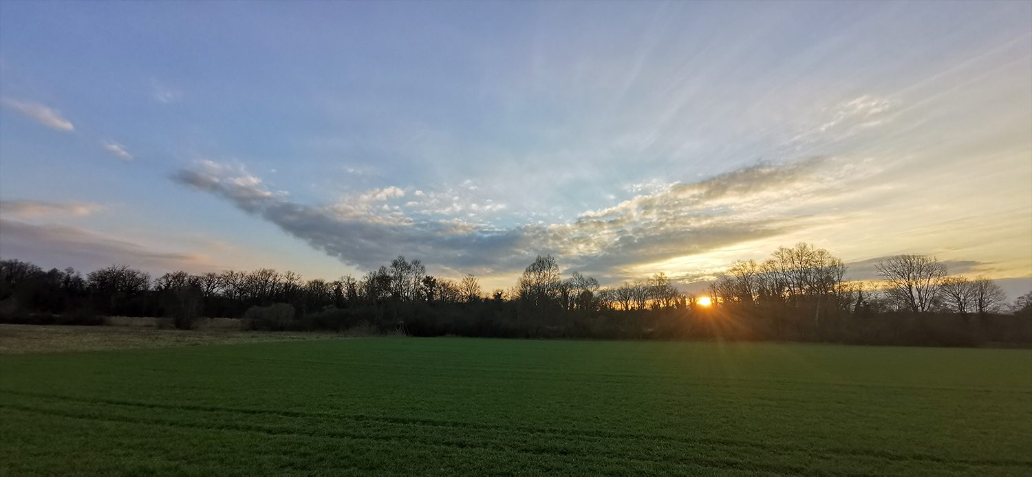 Photo 06