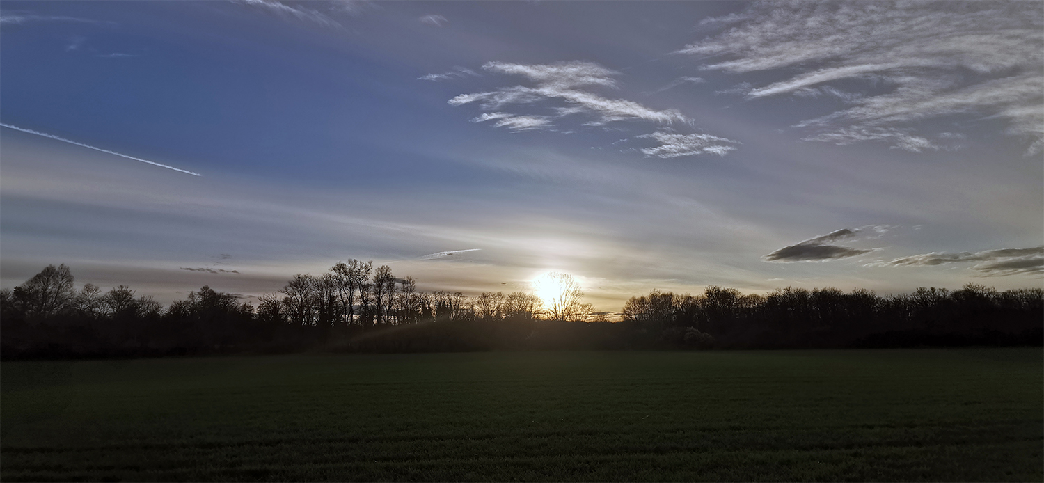 Photo 08