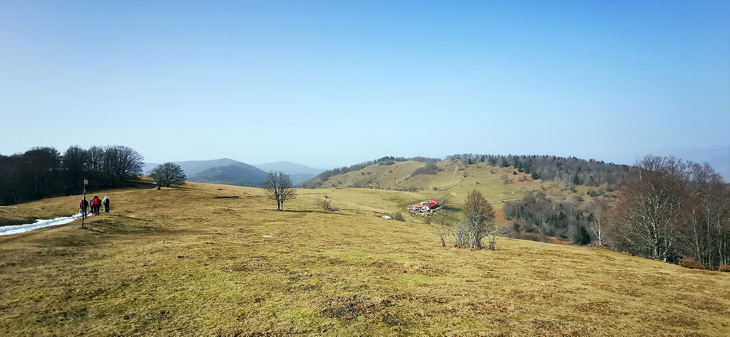 Photo 02