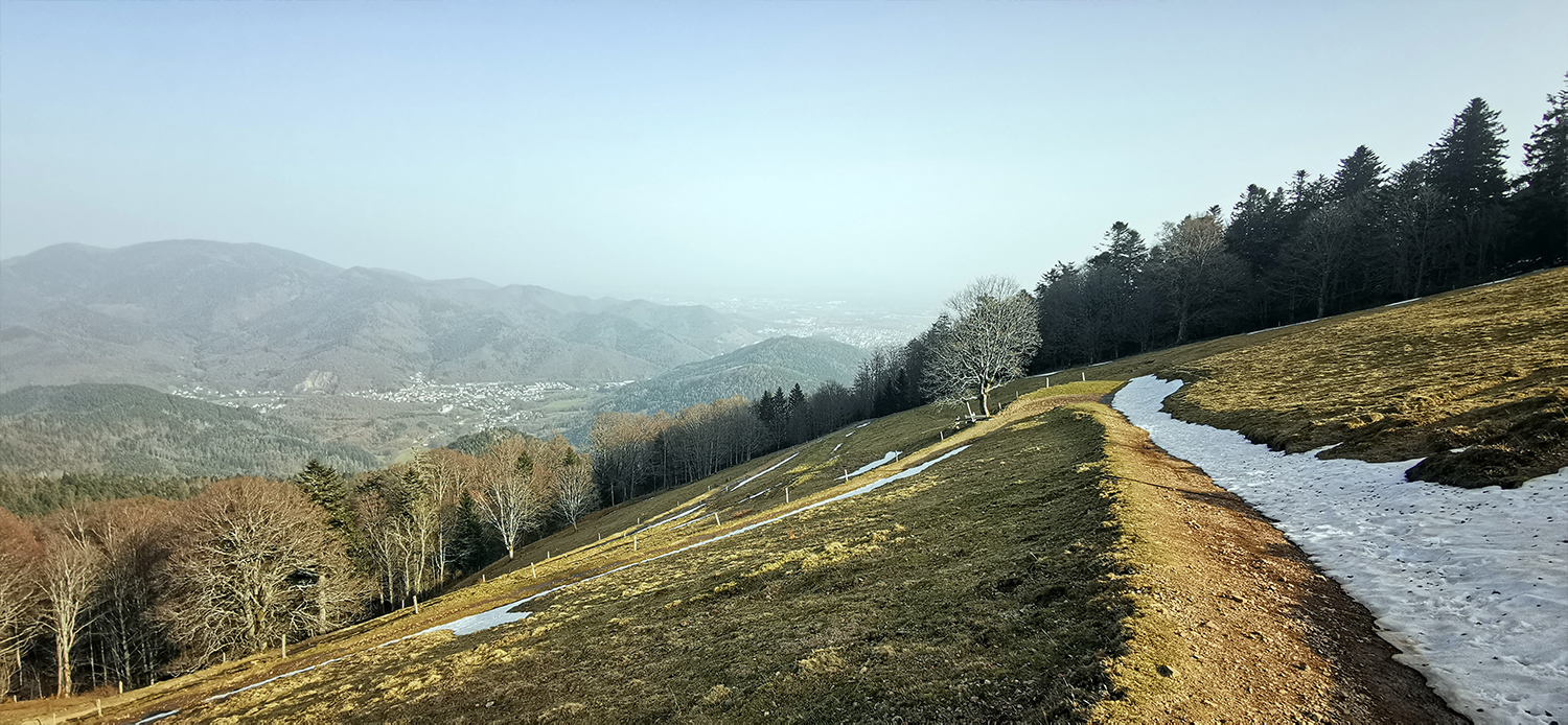 Photo 06